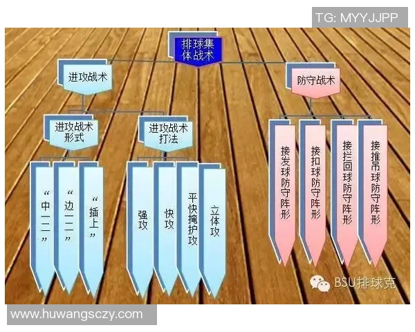 武汉排球队展现灵活战术与团队配合的精彩表现分析